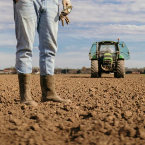 Începe reabilitarea stațiilor de irigații de pe valea Dunării pentru fermierii din Oltenia