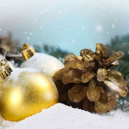 Elevii intră în vacanța de iarnă începând cu 19 decembrie