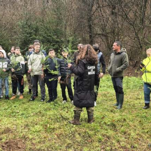 Elevii din Curtea au participat la o acțiune de plantare pentru educație ecologică