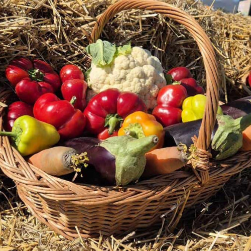 165 de milioane de euro pentru modernizarea unităților de procesare a produselor agricole