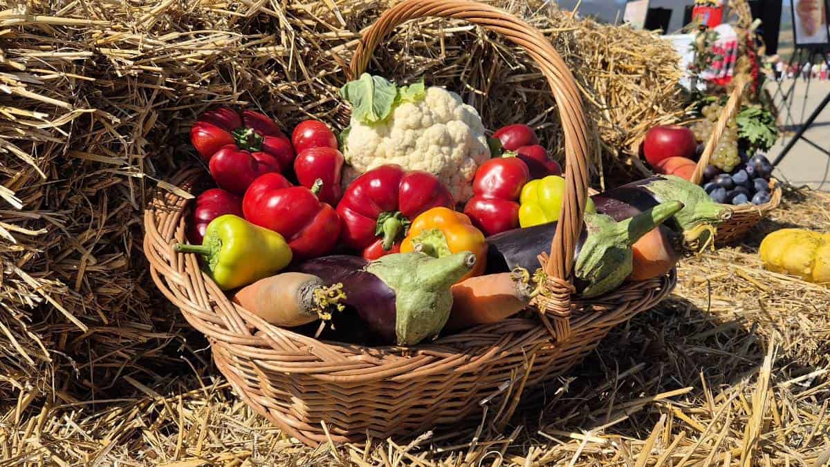 165 de milioane de euro pentru modernizarea unităților de procesare a produselor agricole