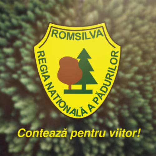 Romsilva cere un studiu solid înainte de reorganizarea Regiei Naţionale a Pădurilor