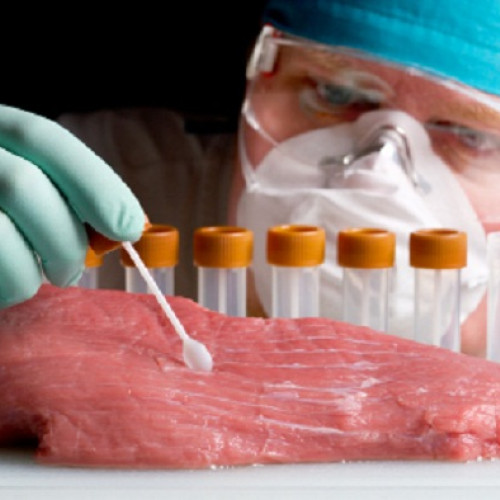 Permanență veterinară asigurată în Giurgiu pentru examene trichineloscopice în decembrie 2024