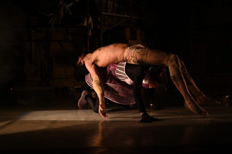 Regizorul Iulian Bulancea propune la Baia Mare spectacolul „Gregor” inspirat de Kafka