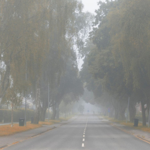 Stockholm se confruntă cu cel mai înnorat decembrie din ultimele decenii