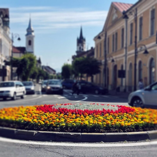 Primăria Bistrița lansează tema de oraș „Cetatea florilor” pentru regenerare urbană
