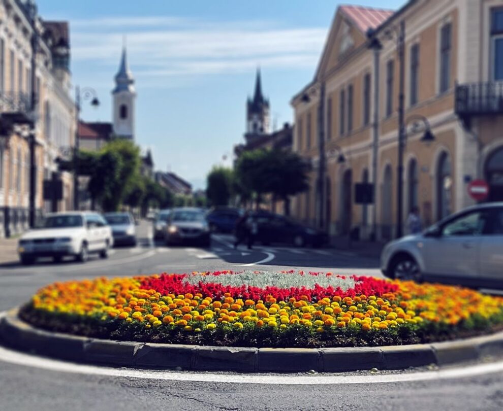 Primăria Bistrița lansează tema de oraș „Cetatea florilor” pentru regenerare urbană