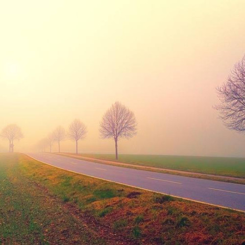 Administrația Națională de Meteorologie anunță cod galben de ceață în Dâmbovița