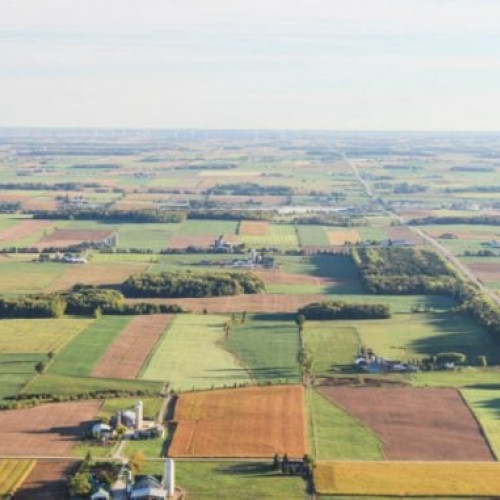 Parlamentul European aprobă reguli mai flexibile pentru sprijinirea fermierilor mici în cadrul PAC