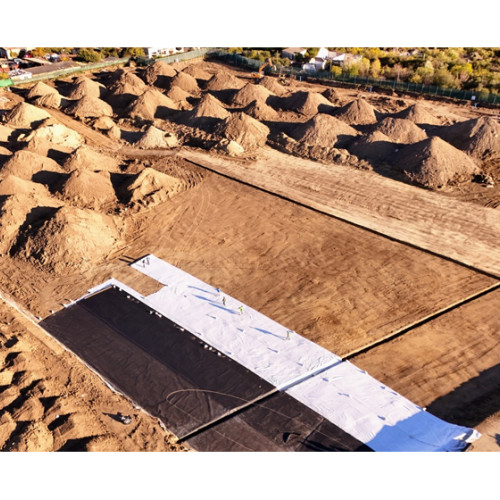 IULIUS transformă orașele prin proiecte sustenabile și bioremediere inovatoare