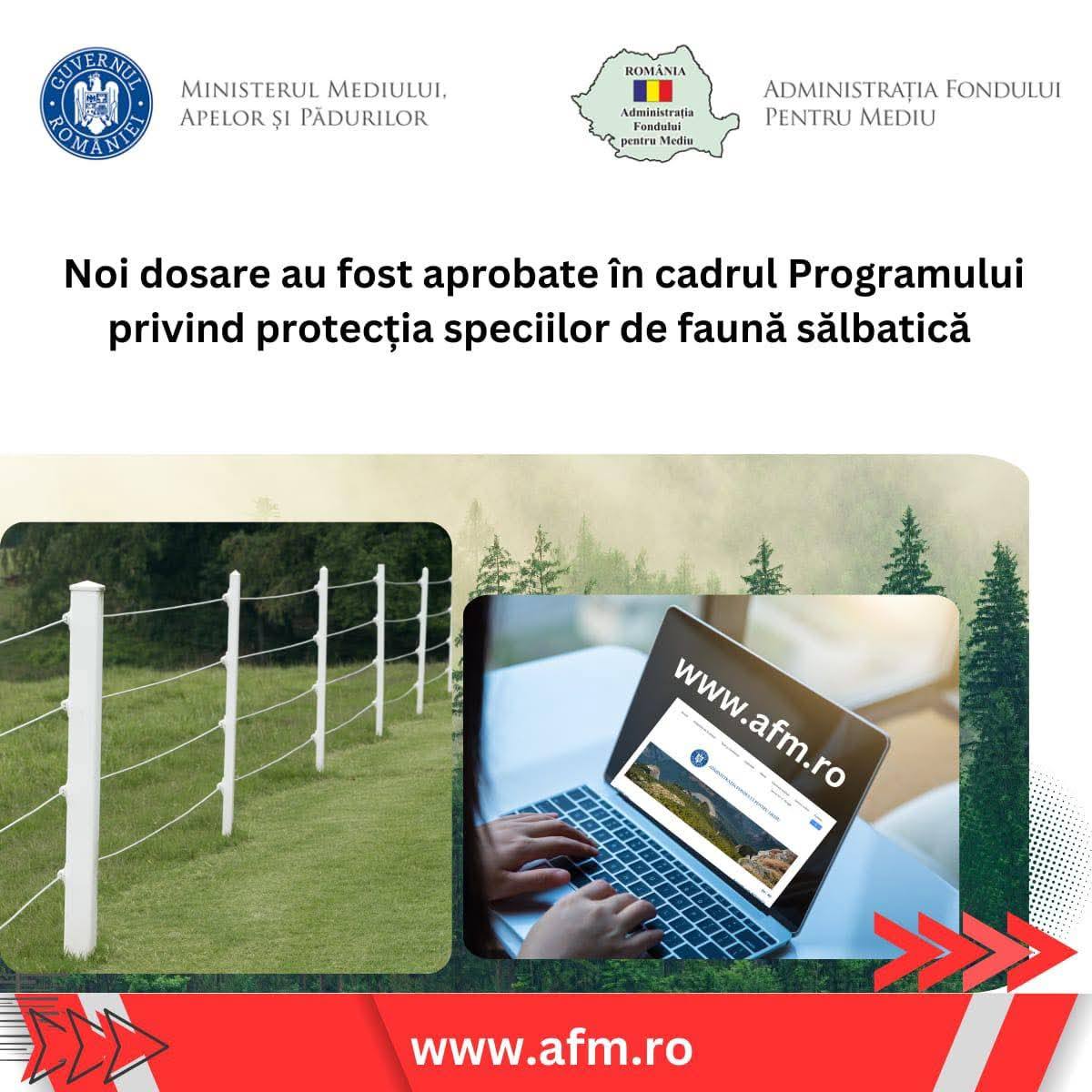 AFM aprobă finanțări pentru protecția gospodăriilor împotriva faunei sălbatice