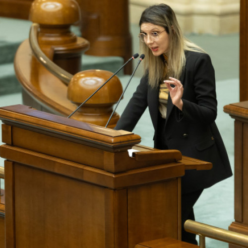 Sorin Grindeanu afirmă că PSD cere schimbarea Dianei Buzoianu din funcția de ministru al Mediului