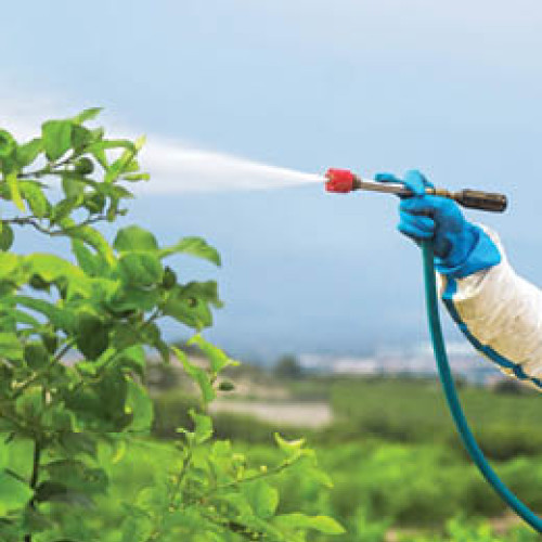 Un studiu influent despre glifosat, retras după 25 de ani din cauza conflictului de interese