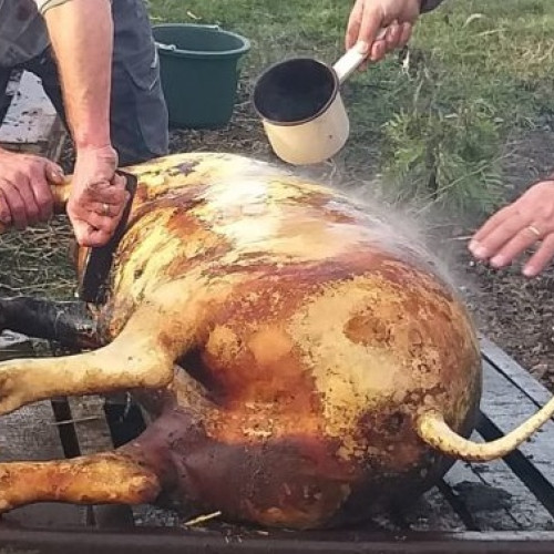 Institutul Naţional de Sănătate Publică avertizează asupra riscului de trichineloză la consumul cărnii de porc de sărbători