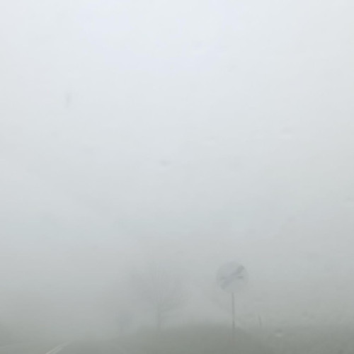 Poliția atenționează privind ceața densă și vizibilitatea redusă pe drumurile din Tulcea și alte județe