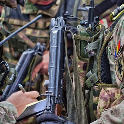 Senatul adoptă Legea voluntariatului militar pentru serviciul activ pe timp de pace