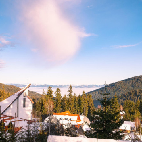 Poliția anchetează un bărbat din Prahova pentru înșelăciune cu închirierea unei pensiuni fictive