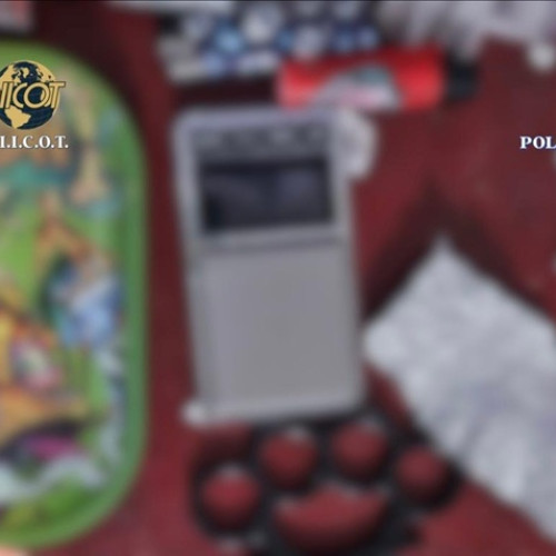 Procurorii din Constanța cer arestarea preventivă a unei grupări care a vândut droguri în București și Costinești