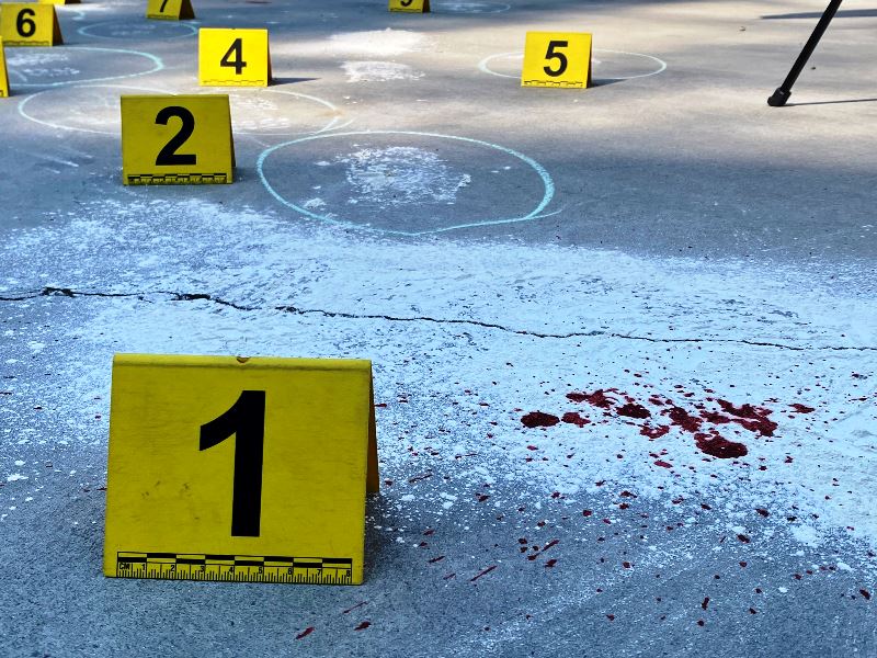 Doi bărbați din Cârligele au agresat și ucis un consătean în vârstă de 69 de ani