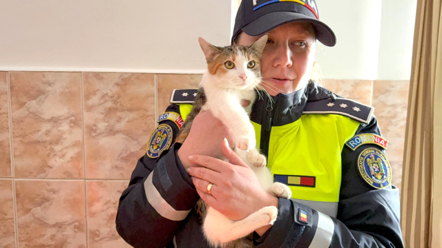 Polițiștii din Hunedoara aduc bucurie unei familii monoparentale afectate de violență domestică