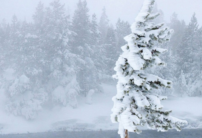 Bărbat din Prahova cercetat pentru înșelăciune în urma unui anunț fals de închiriere pensiune