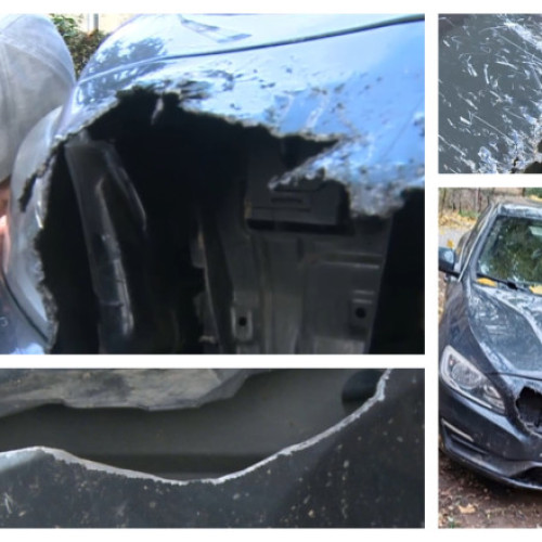 O haită de câini maidanezi distruge patru mașini în Arad, poliția intervine