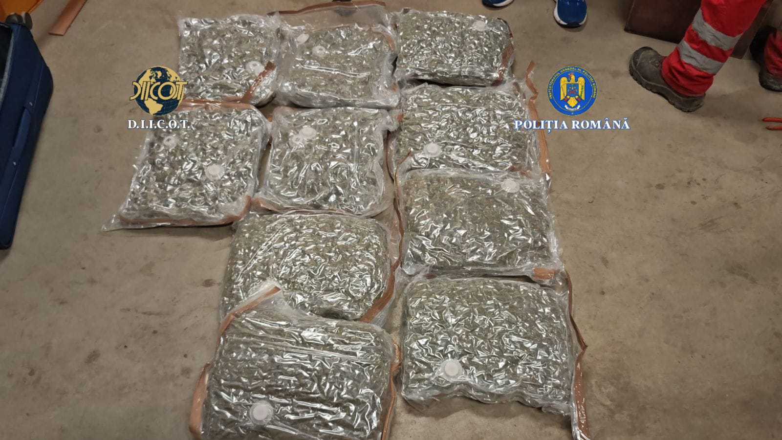 Patru persoane prinse cu 20 de kilograme de canabis la București