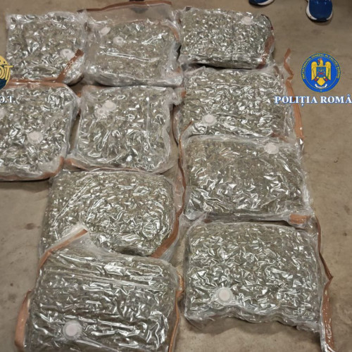 Patru persoane prinse cu 20 de kilograme de canabis la București