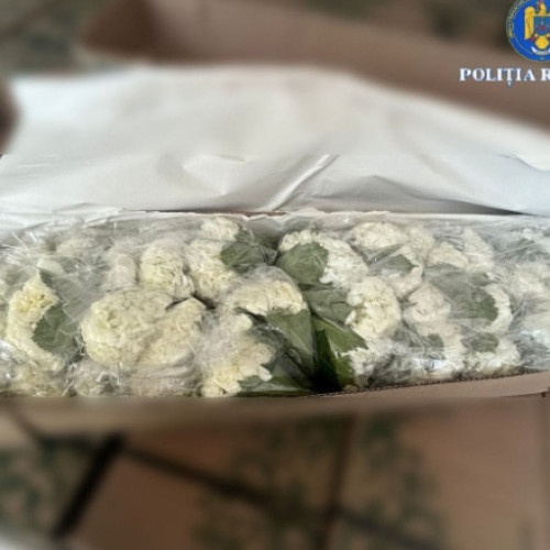 Patru bărbați trimiși în judecată pentru trafic de cocaină din Columbia în România