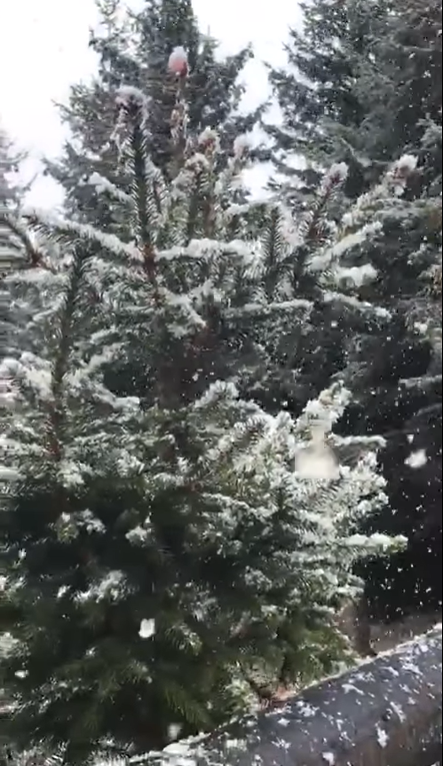 ANM anunță ninsori în mai multe regiuni ale țării de Crăciun