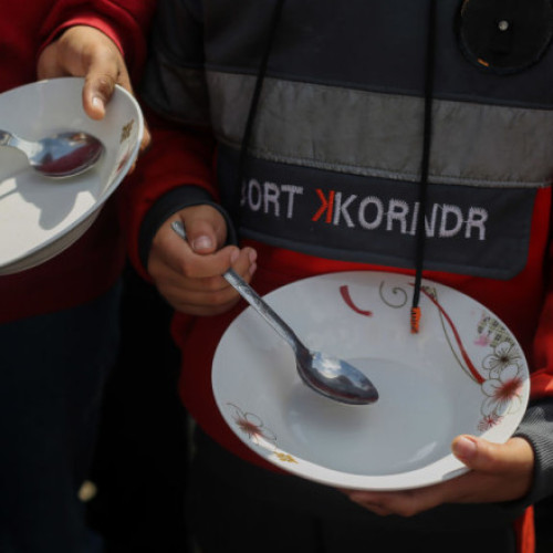 Antonio Guterres atrage atenția asupra insecurității alimentare grave în Fâșia Gaza și cere armistițiu durabil