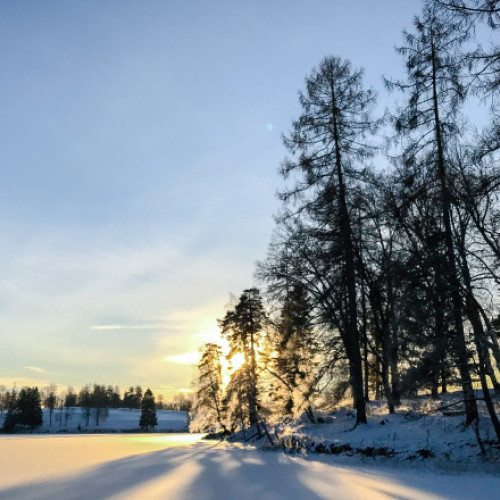 Solstițiul de iarnă din 2025 aduce cea mai scurtă zi și cele mai lungi nopți ale anului