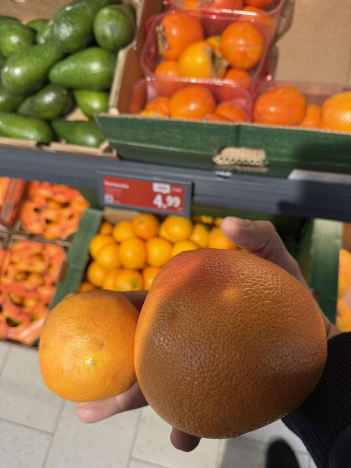 Șeful ANPC critică importurile de citrice de calitate scăzută în magazinele din România