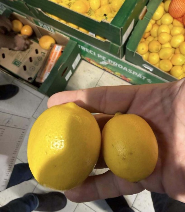 Director ANPC avertizează că lămâile și portocalele mici sunt considerate furaj animalier