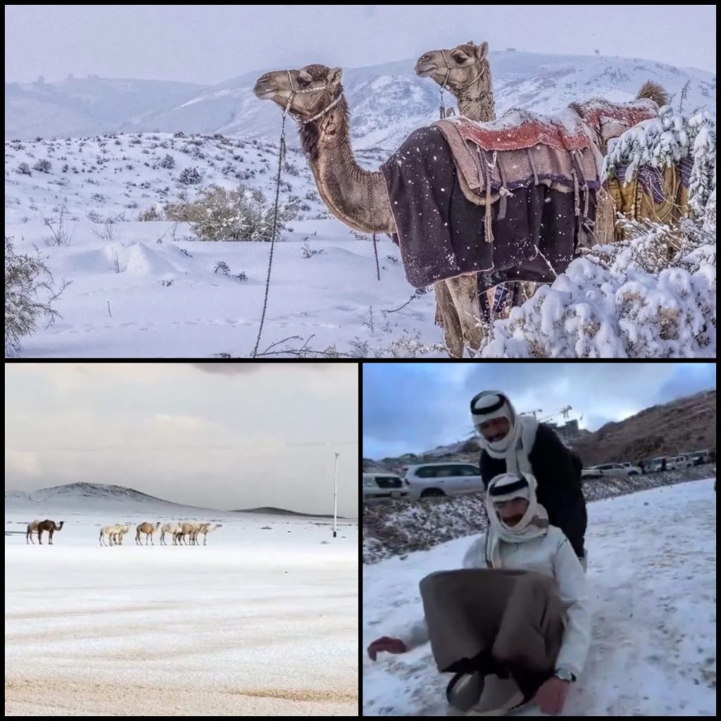 Ninsoarea historică acoperă nordul Arabiei Saudite după 30 de ani