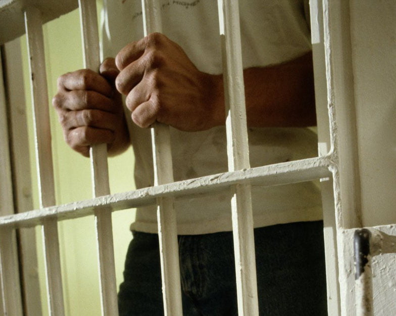 Bărbat din București condamnat pentru cruzime față de un câine în Sectorul 5