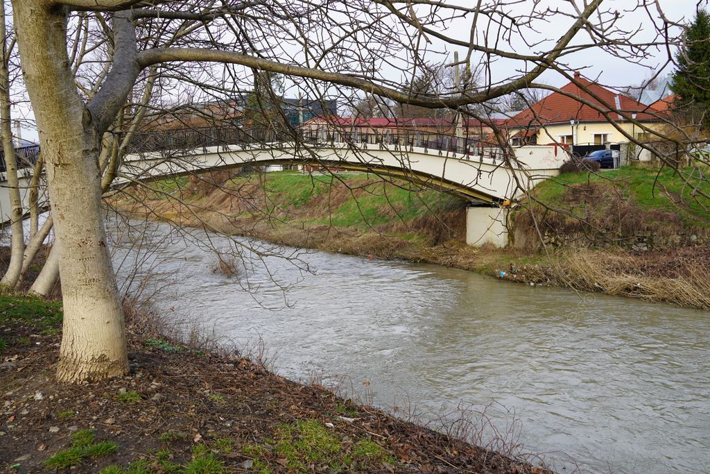 Autoritățile locale propun o abordare holistică pentru dezvoltarea râului Bistrița