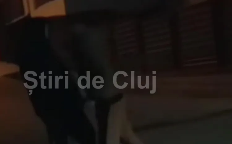 Poliția investighează agresiunea dintre doi adolescenți în Cluj-Napoca