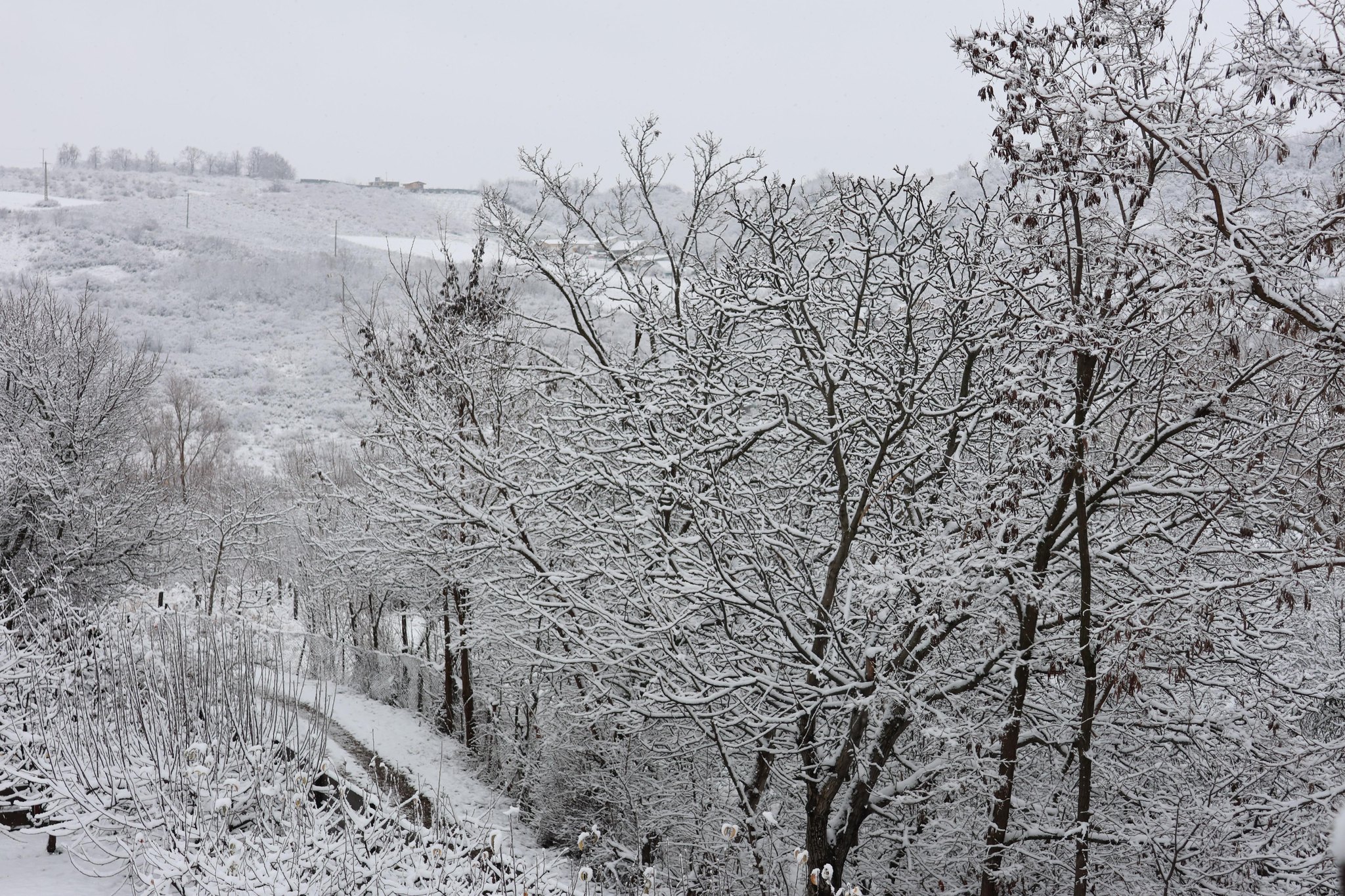 Botoșaniul a înregistrat cele mai scăzute temperaturi din această iarnă în prima zi de Crăciun