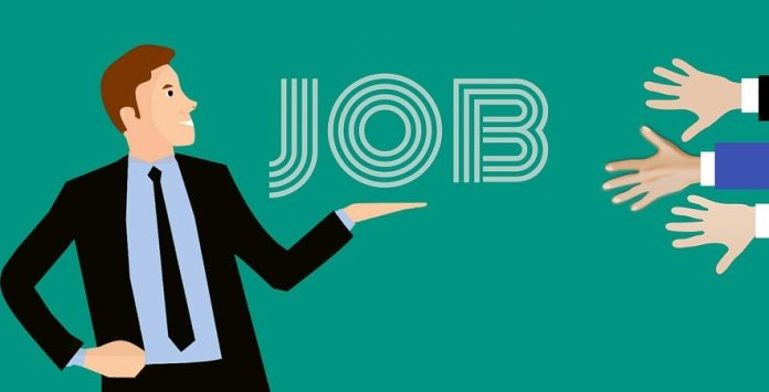 Căutările de locuri de muncă pe eJobs.ro în 2025 indică schimbări în preferințele candidaților