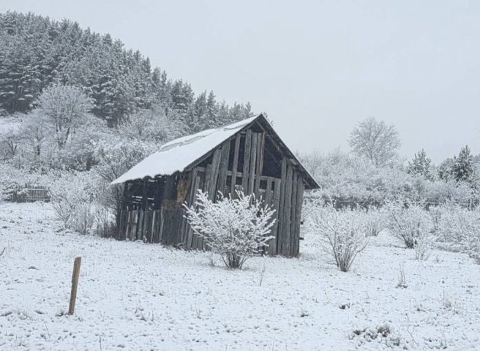 Administrația Națională de Meteorologie prelungește avertizările de vânt, ninsoare și polei