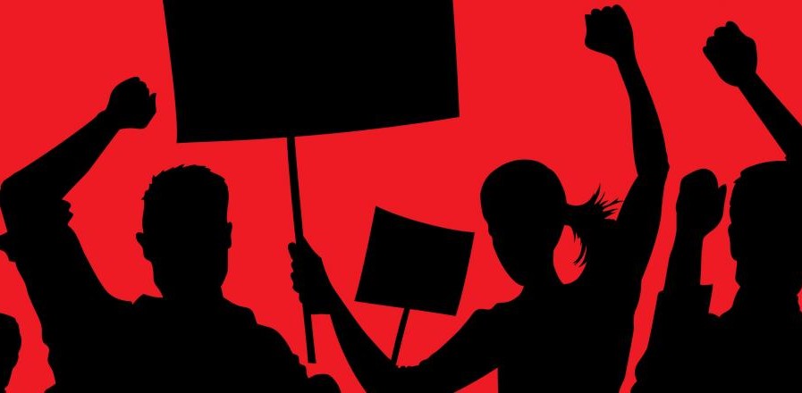 Cetățenii din Mihai Eminescu organizează protest față de capturarea animalelor hoinare