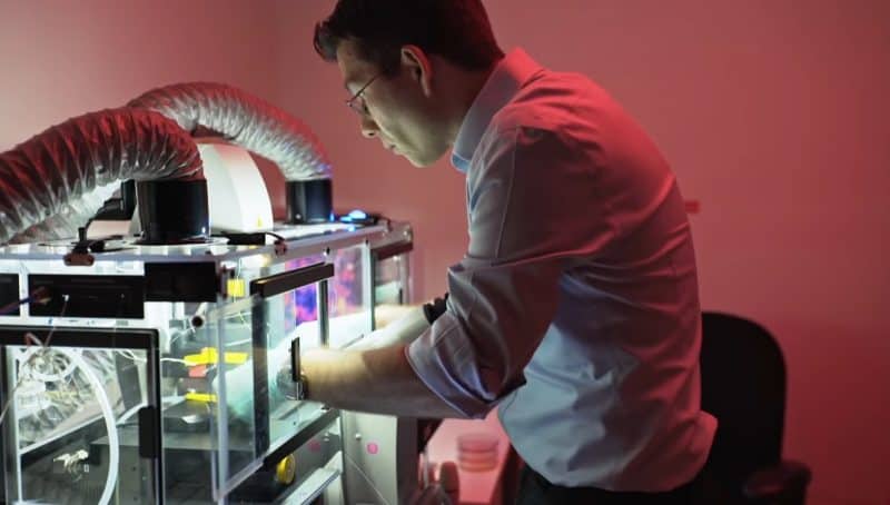 Sergiu Pașca și echipa Stanford cresc mii de organoizi cerebrali identici cu ajutorul unei substanțe alimentare