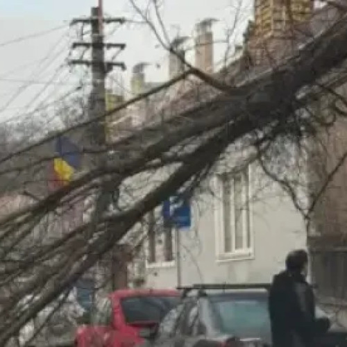 Vântul puternic provoacă pagube și întreruperi în traficul din Cluj-Napoca
