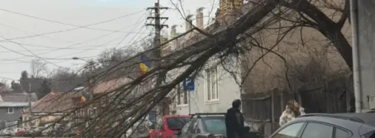 Vântul puternic provoacă pagube și întreruperi în traficul din Cluj-Napoca