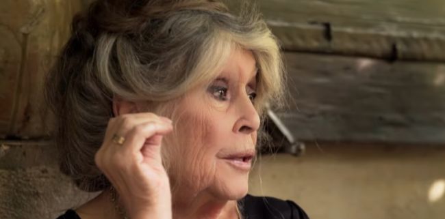 Brigitte Bardot, o carieră strălucitoare și implicare activă pentru drepturile animalelor