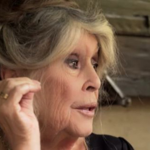 Brigitte Bardot, o carieră strălucitoare și implicare activă pentru drepturile animalelor