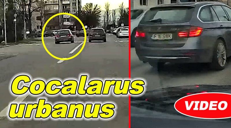 Buzoian surprinde imagini din fața sălii Sporturilor cu trecerea de pietoni de pe Aleea Sporturilor