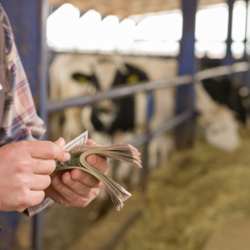 România a încasat aproape un miliard de euro din fonduri FEGA pentru plata fermierilor