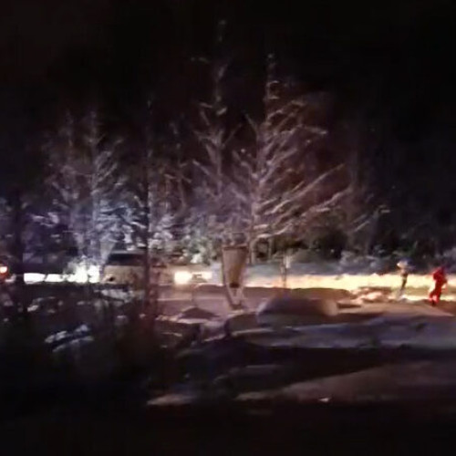 Jandarmii montani au intervenit pentru a proteja turiștii de un animal sălbatic la Straja